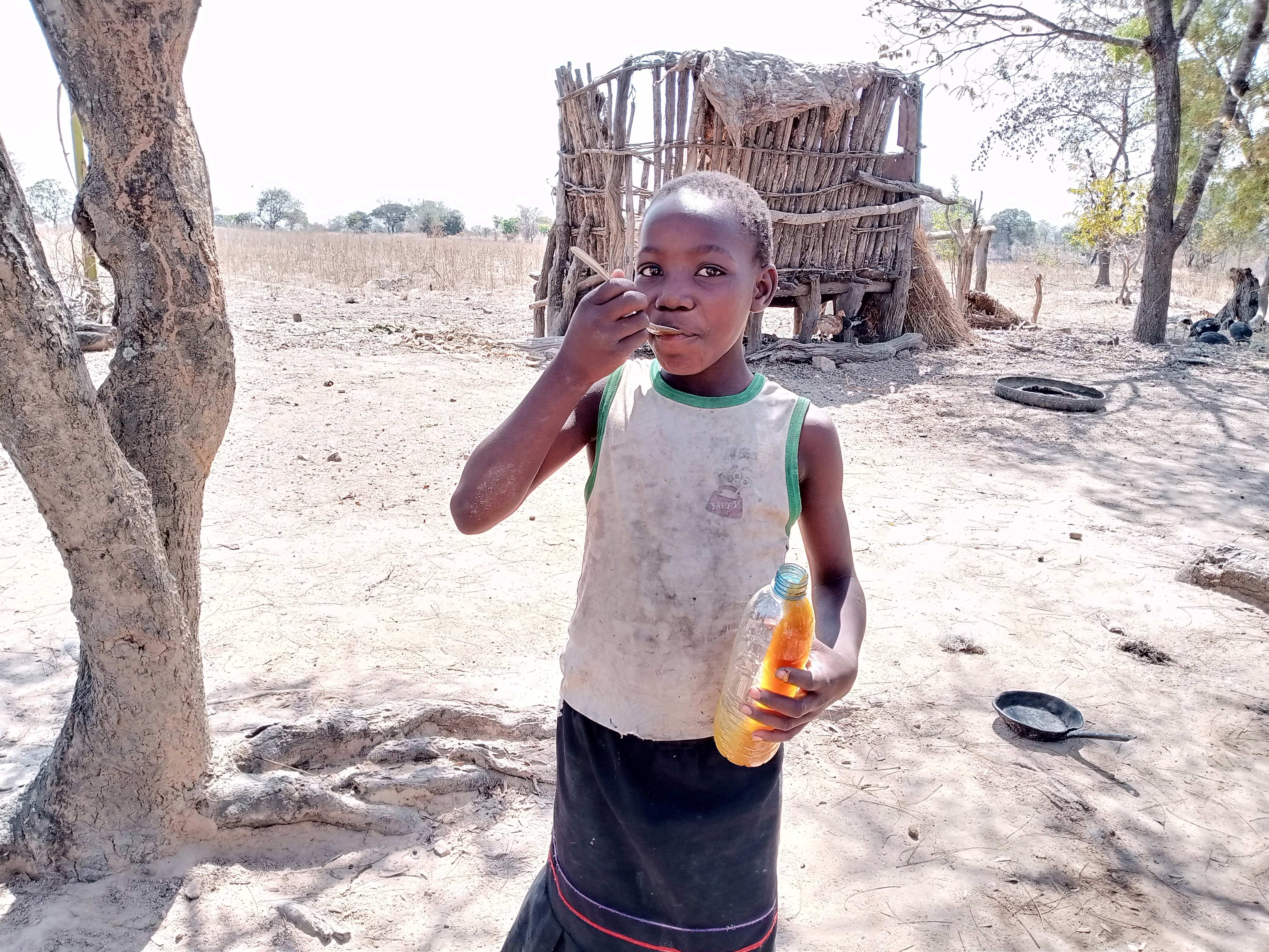 Misolia enjoying eating honey

Projekt LU

09-2021