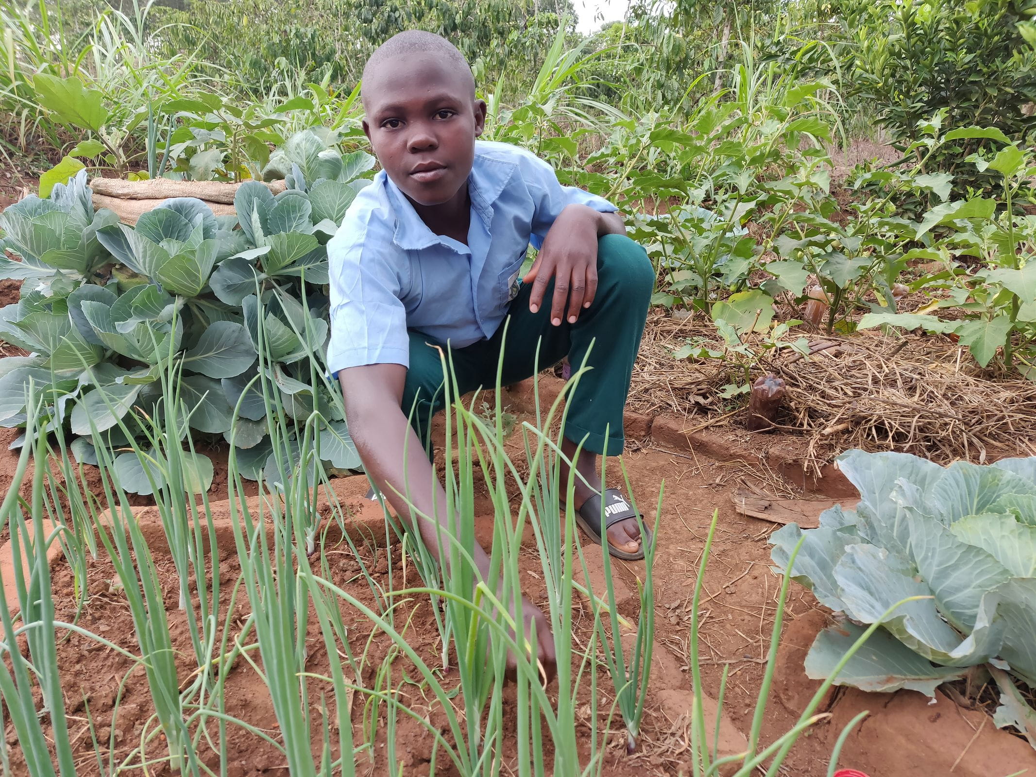 Ein Junge aus Uganda hockt in seiner blau-grünen Schuluniform vor einem seiner Beete im seinem Garten. (Quelle: Katharina Drzisga)